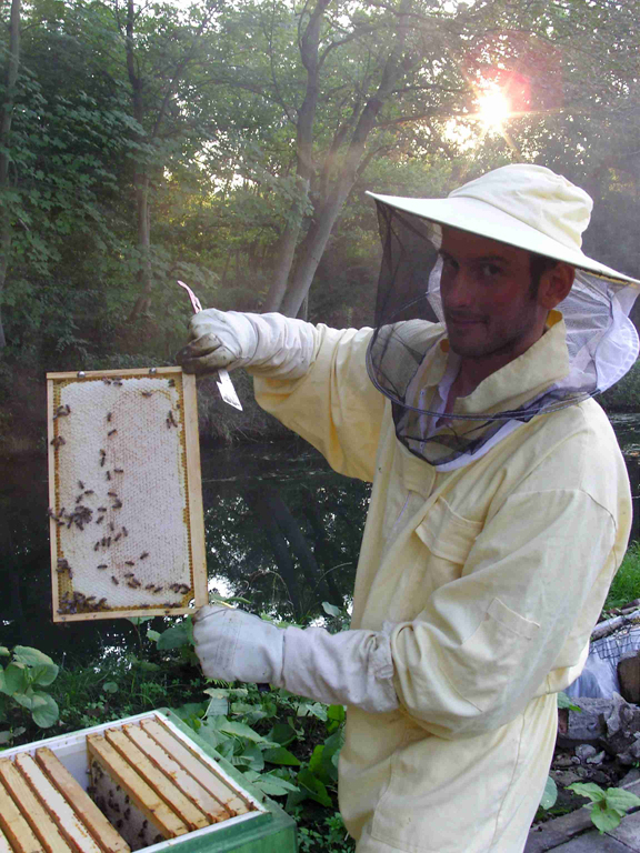 Chronik 2014-2015: Bienen ziehen ein